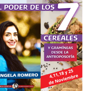 EL PODER DE LOS 7 CEREALES Y GRAMÍNEAS